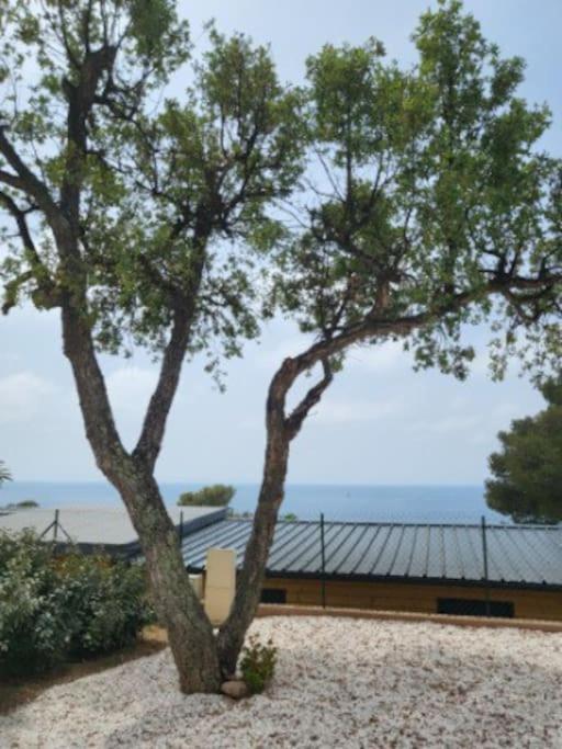 L'ile D'or